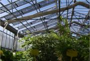 Double purpose greenhouse
